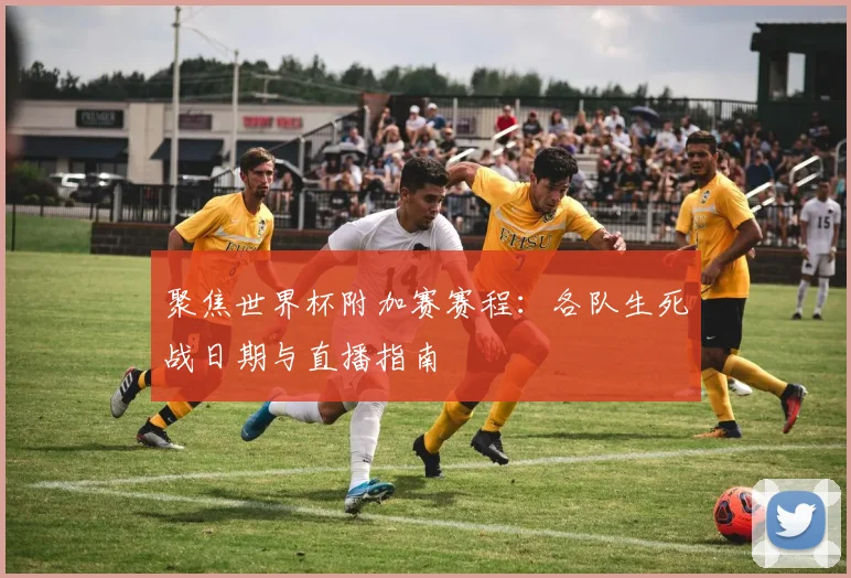 聚焦世界杯附加赛赛程：各队生死战日期与直播指南